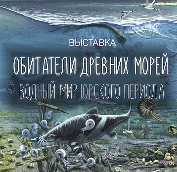 Обитатели древних морей. Водный мир юрского периода